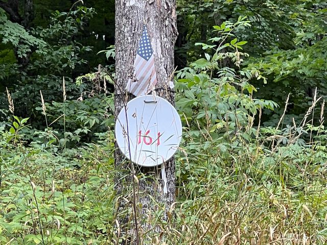 161 Porter Lake Road, Amasa, MI 49903