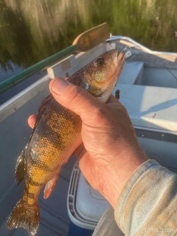 161 Porter Lake Road, Amasa, MI 49903