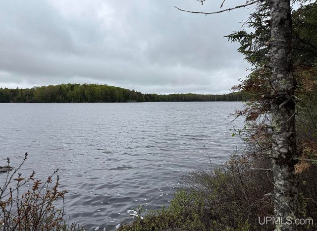 161 Porter Lake Road, Amasa, MI 49903