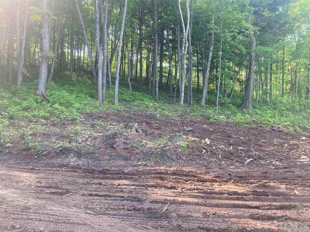 161 Porter Lake Road, Amasa, MI 49903