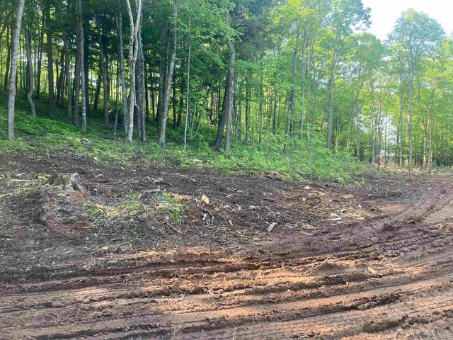 161 Porter Lake Road, Amasa, MI 49903