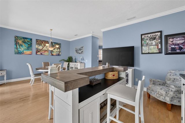 6407 MAYRA SHORES LANE, Apollo Beach, FL 33572