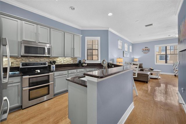 6407 MAYRA SHORES LANE, Apollo Beach, FL 33572
