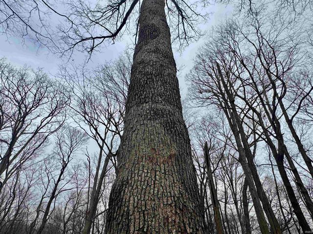 off SR 66, Grandview, IN 47615