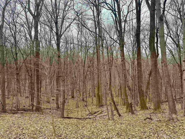 off SR 66, Grandview, IN 47615