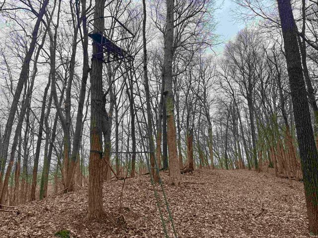 off SR 66, Grandview, IN 47615