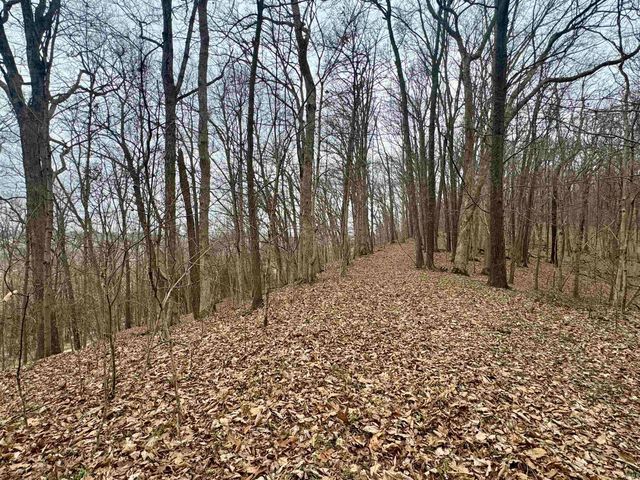 off SR 66, Grandview, IN 47615