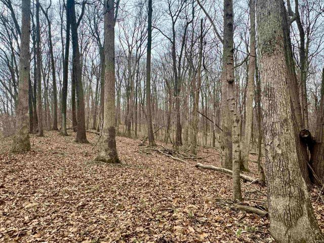 off SR 66, Grandview, IN 47615