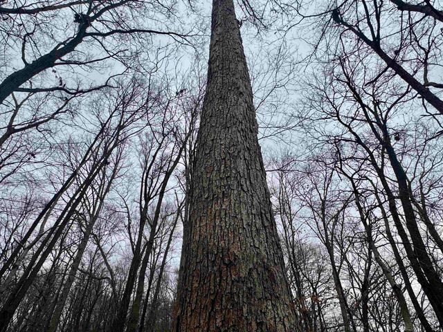 off SR 66, Grandview, IN 47615