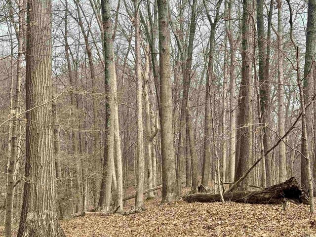 off SR 66, Grandview, IN 47615