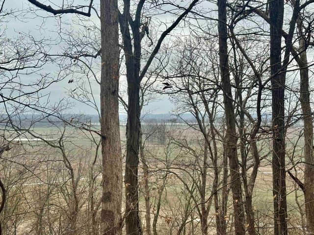 off SR 66, Grandview, IN 47615