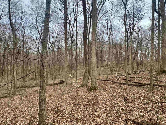 off SR 66, Grandview, IN 47615