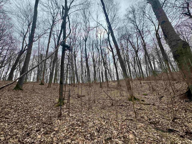 off SR 66, Grandview, IN 47615