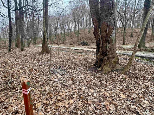 off SR 66, Grandview, IN 47615