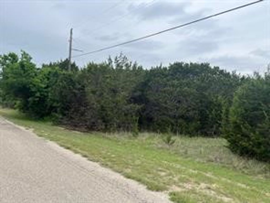 5007 Horseshoe Drive, Whitney, TX 76692