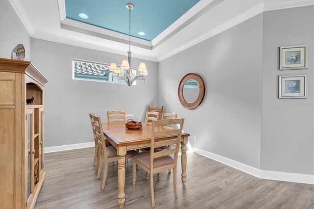 3141 FRANCOA DRIVE, Odessa, FL 33556