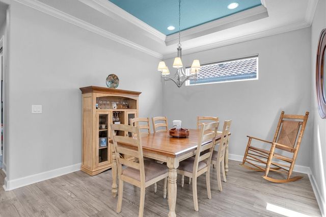 3141 FRANCOA DRIVE, Odessa, FL 33556