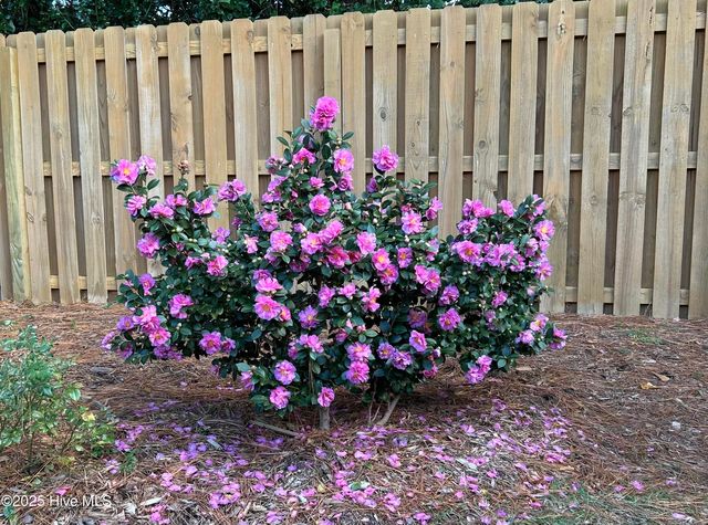 928 Bobby Brown Circle, Leland, NC 28451