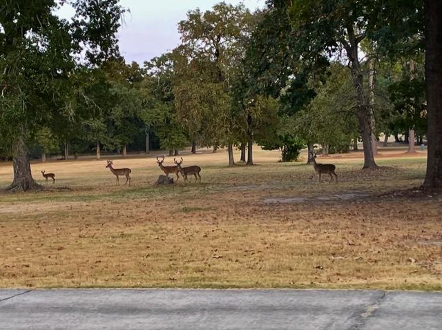 24474 Country Club Drive, Huntsville, TX 77320