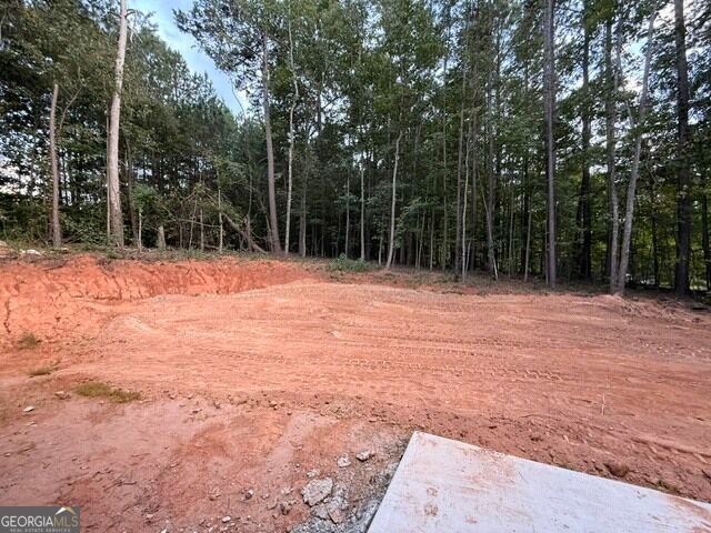 167 Iron Bound Trail, Dallas, GA 30132