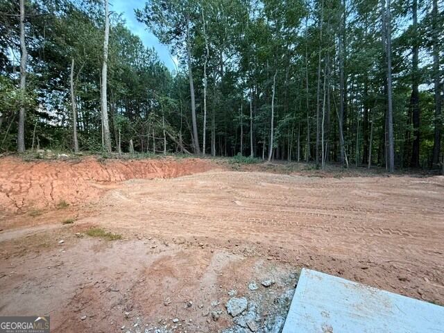 167 Iron Bound Trail, Dallas, GA 30132