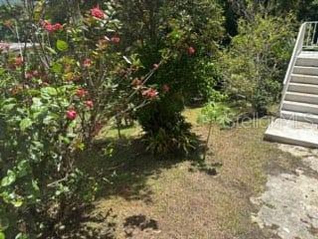 Carr 709 BO RINCON, Cidra, PR 00739