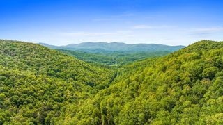 Lot 18 Cub Trail, Cherry Log, GA 30522