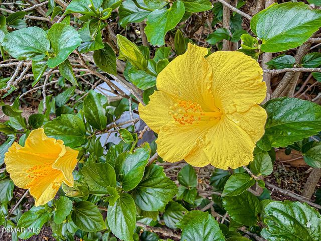 11535 Northdale Drive, Moorpark, CA 93021