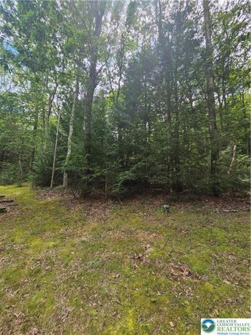 178 Sparrow Lane, Penn Forest Twp, PA 18229