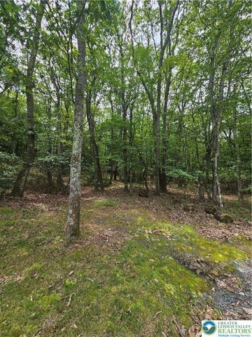 178 Sparrow Lane, Penn Forest Twp, PA 18229