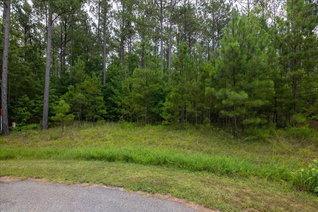 Lot 114 Dock Side Lane, Lincolnton, GA 30817