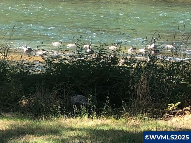 45849 River Loop Rd, Lyons, OR 97358