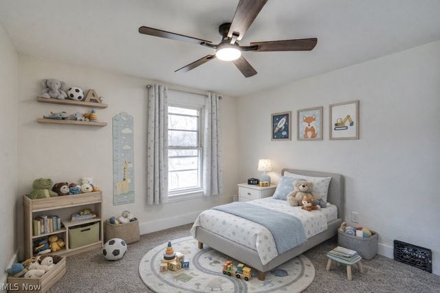 13 Alfaretta Avenue, Akron, OH 44310