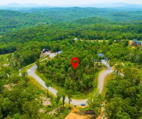 0 Mountain Laurel Ridge, Mineral Bluff, GA 30559