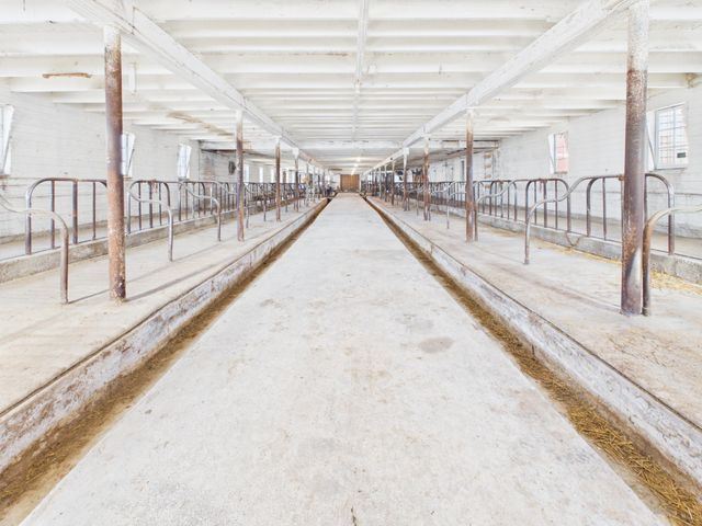 34464 County Road 11, Freeport, MN 56331