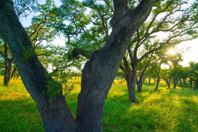 000 Rolling Oaks RNCH, Johnson City, TX 78636
