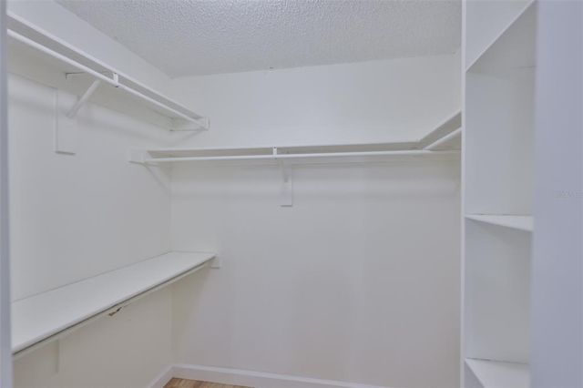 13703 SWEETWATER COVE PLACE, Tampa, FL 33613