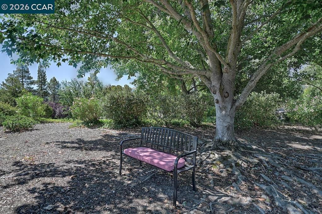 Image 3 of property listing at 1916 Golden Rain Rd 3, Walnut Creek, CA 94595