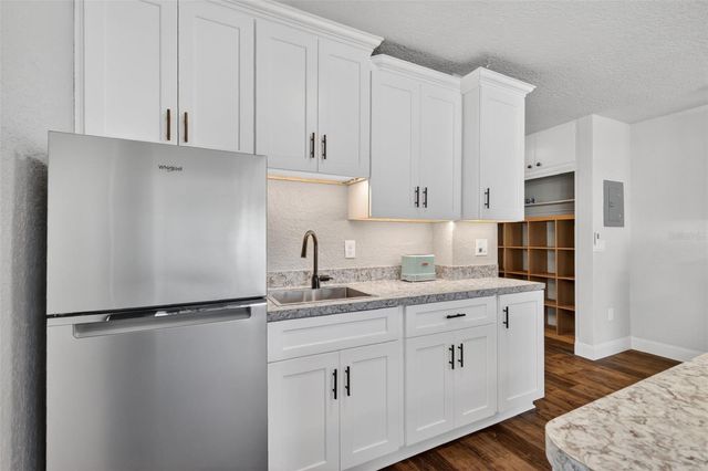 205 E 10TH AVENUE, Mount Dora, FL 32757