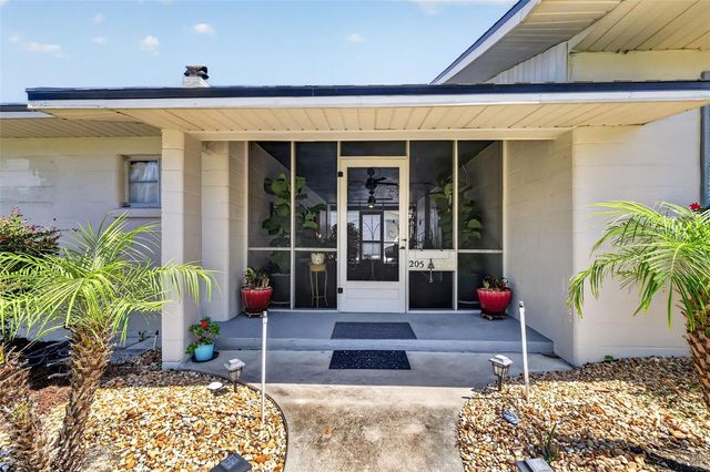 205 E 10TH AVENUE, Mount Dora, FL 32757