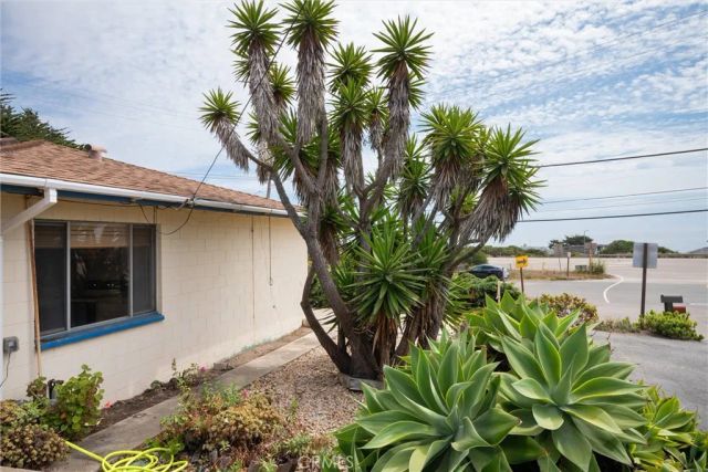 110 Chaney, Cayucos, CA 93430