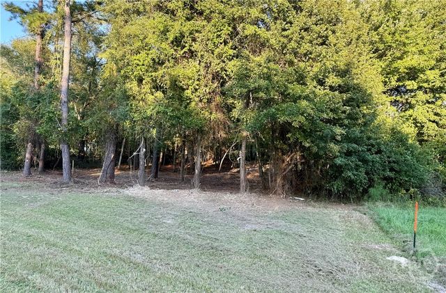 0 Friendship Road, Sylvania, GA 30467