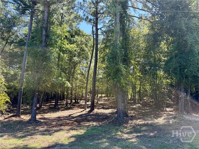 0 Friendship Road, Sylvania, GA 30467