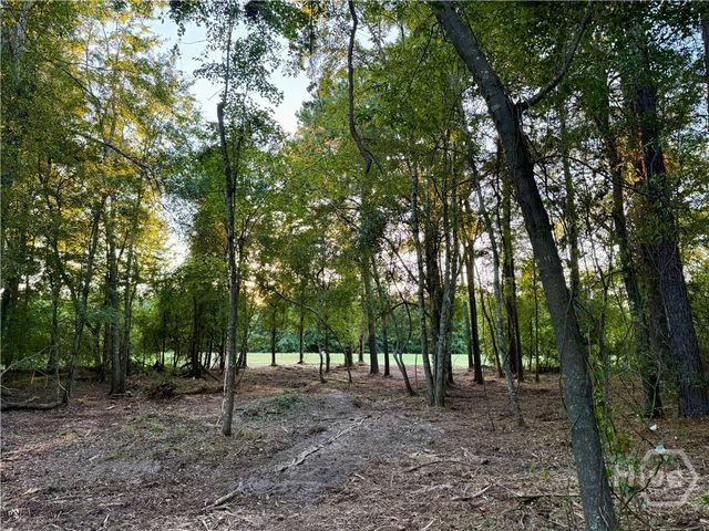 0 Friendship Road, Sylvania, GA 30467