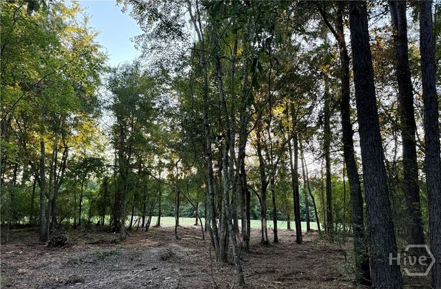 0 Friendship Road, Sylvania, GA 30467