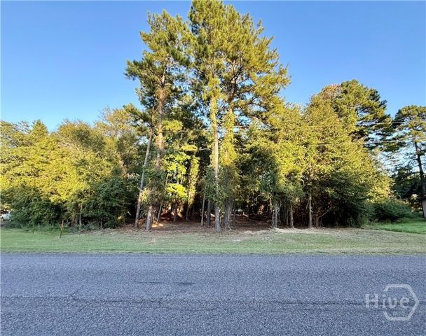 0 Friendship Road, Sylvania, GA 30467