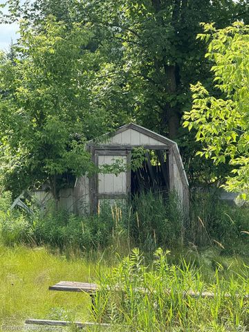 2320 Gramer Road N, Webberville Village, MI 48892