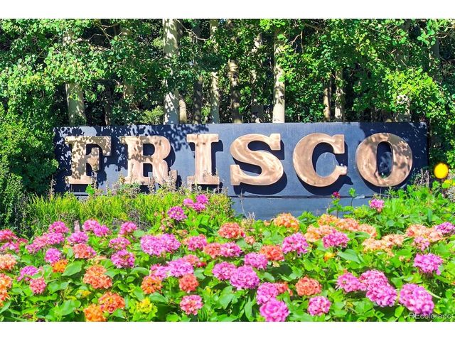 20 E Main St 203, Frisco, CO 80443