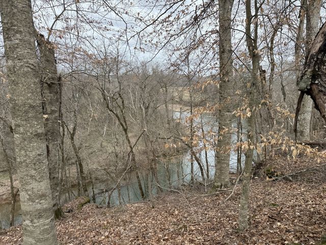 602 Gaither Hinson Rd, Waynesboro, TN 38485