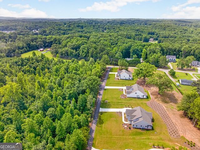 8145 Heardsville Court, Cumming, GA 30028